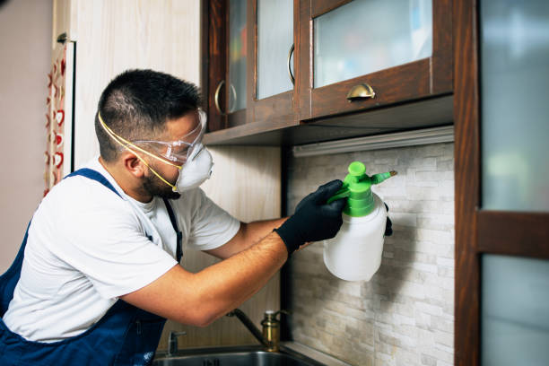 Best Mosquito Control Services  in Mercersburg, PA
