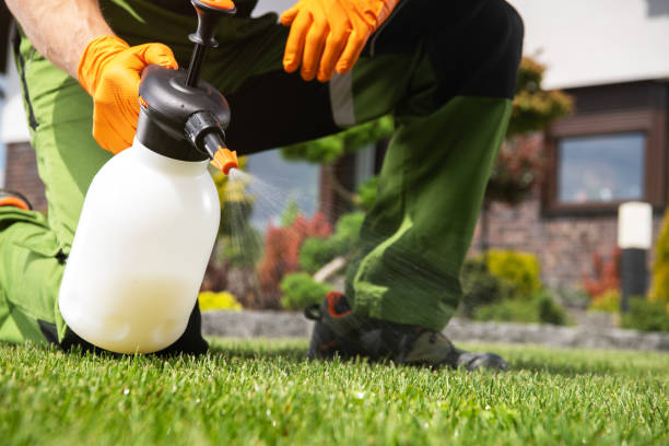 Best Ant Control Services  in Mercersburg, PA