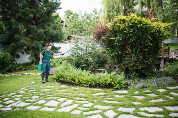 Trusted Mercersburg, PA Pest Control Experts