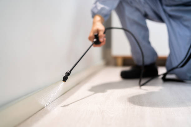 Best Pest Prevention Services  in Mercersburg, PA
