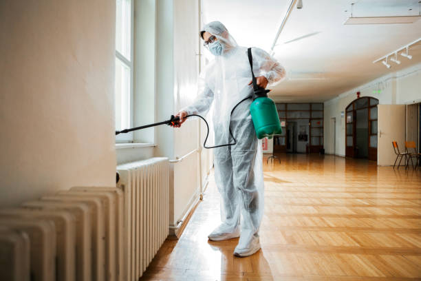 Best Termite Control Services  in Mercersburg, PA