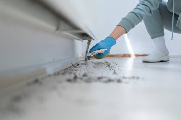 Best Spider Control Near Me  in Mercersburg, PA
